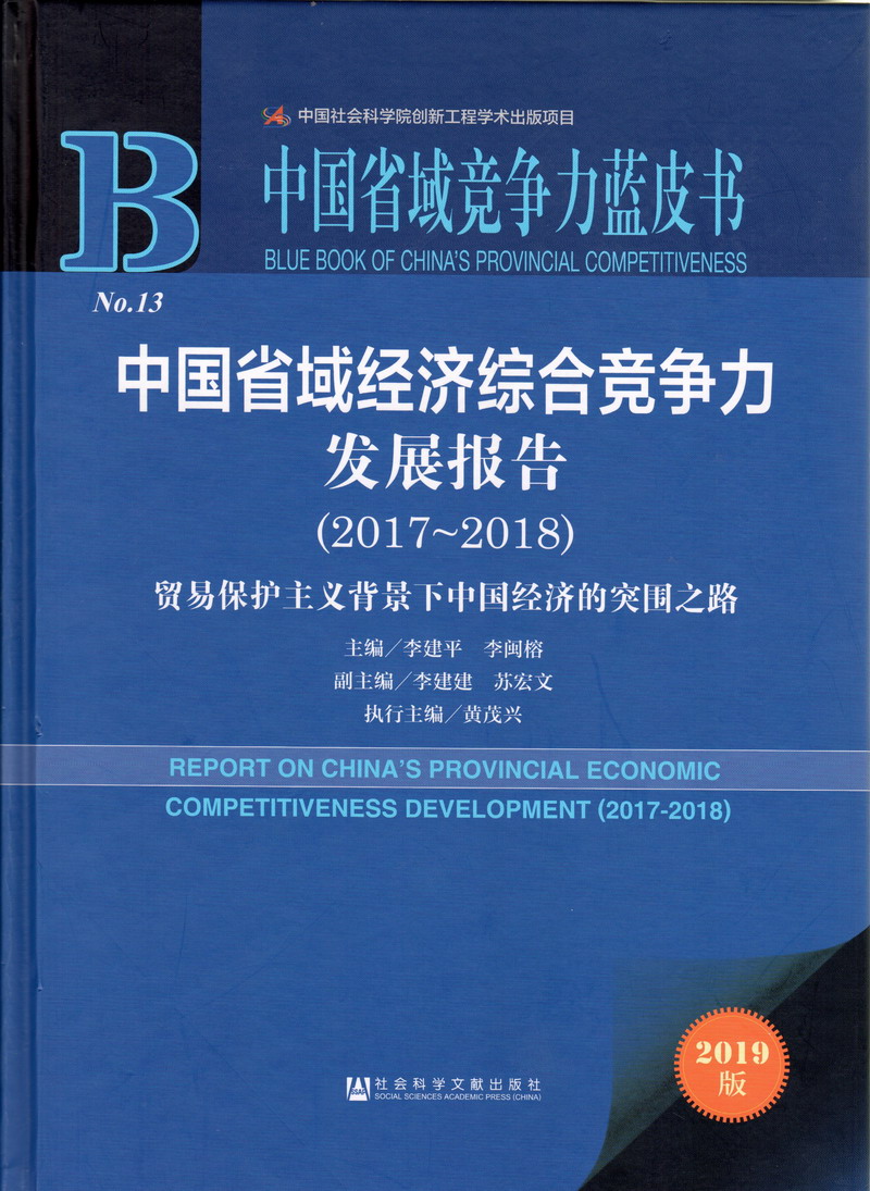 大骚屄被肏视频中国省域经济综合竞争力发展报告（2017-2018）