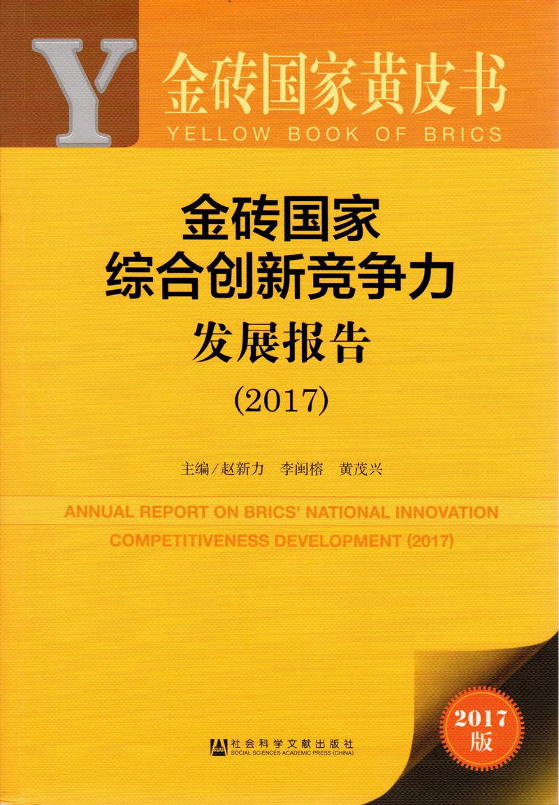 骚逼大几把插进去金砖国家综合创新竞争力发展报告（2017）